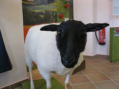 Besucherinformationszentrum BR Rhön Bild-0