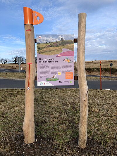 Extratour Wasserkuppe Bild-0