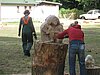 Bildhauerworkshop Friedrichsmoor Bild-2