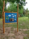 Der Baumschatz von Schuenhagen Bild-4