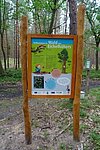 Walderlebnispfad Fuhlendorf Bild-1