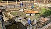 Umweltbildungszentrum Fischereihof Kleinholscha Bild-4