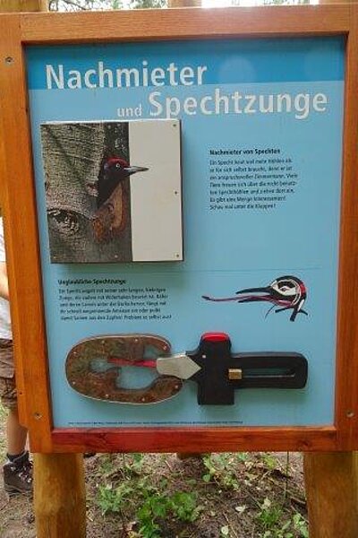 Walderlebnispfad Fuhlendorf Bild-0