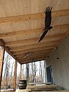 Umweltbildungszentrum Fischereihof Kleinholscha Bild-8