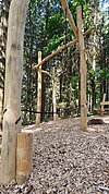 Natur-Aktiv-Garten Auersberg Bild-4