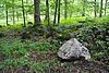 Entdeckerpfad Hohe Rhön Bild-3