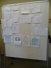 Beteiligungsprojekt Baumkronenpfad „Ivenacker Eichen“ Bild-2