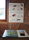 Geheimnisse der Rangerhütte Bild-4