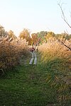 Kavelwiesenweg Sernitzniederung Bild-2