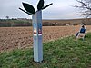 Vogeluhr Bild-1