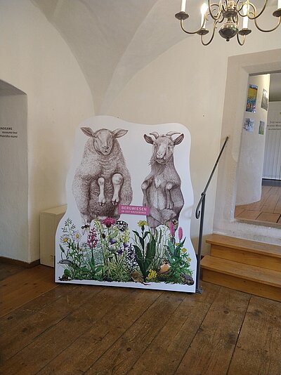 Bergwiesenausstellung Schloss Lauenstein Bild-0