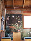 Geheimnisse der Rangerhütte Bild-3