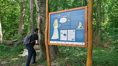 The Bartheschatz - a nature trail in the Kronenwald forest Image-0
