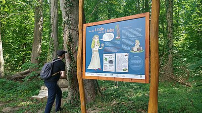 Der Baumschatz von Schuenhagen Bild-0