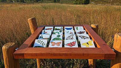 Naturerlebnispfad im Findlingspark Nochten Bild-0