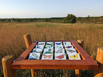 Nature trail at Findlingspark Nochten Image-0