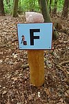 Walderlebnispfad Fuhlendorf Bild-2