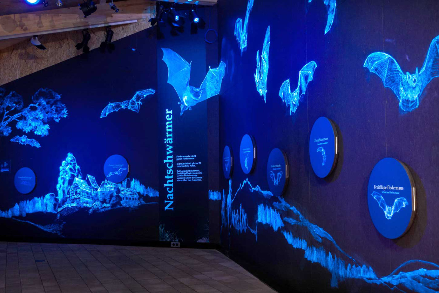 Ausstellungen Ausstellungen Bild