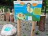Umweltbildungsort Senftenberger See Bild-1